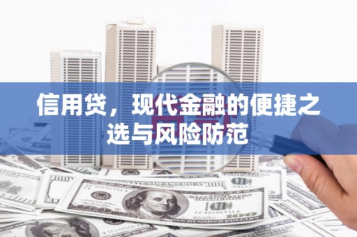 云林信用贷，现代金融的便捷之选与风险防范