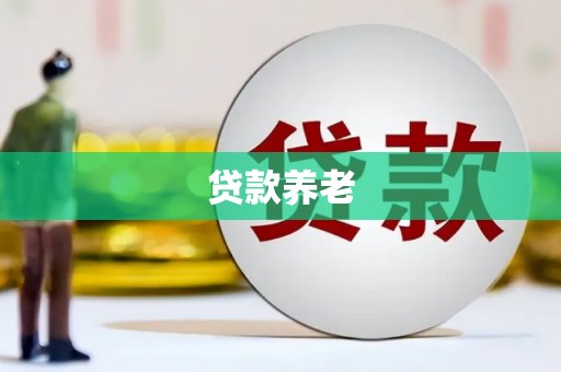 云林贷款养老