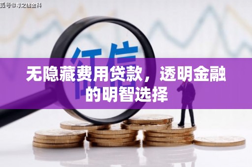 云林无隐藏费用贷款，透明金融的明智选择