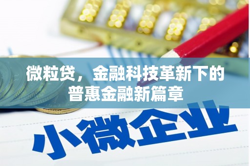 云林微粒贷，金融科技革新下的普惠金融新篇章