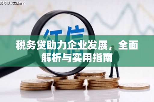 云林税务贷助力企业发展，全面解析与实用指南