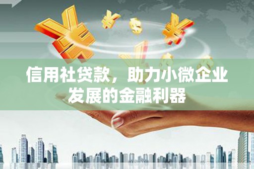 云林信用社贷款，助力小微企业发展的金融利器