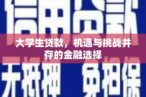 云林大学生贷款，机遇与挑战并存的金融选择