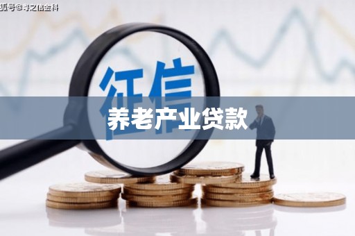 云林养老产业贷款
