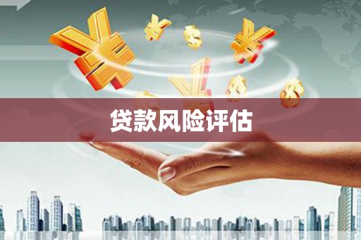 云林贷款风险评估