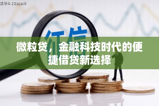 云林微粒贷，金融科技时代的便捷借贷新选择