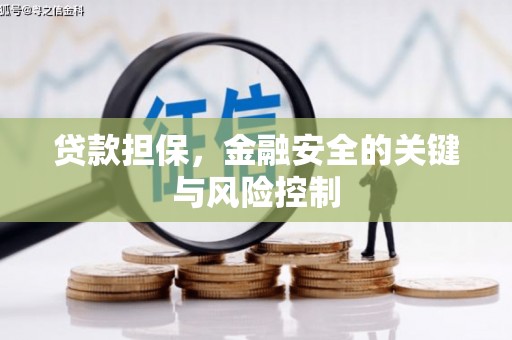 云林贷款担保，金融安全的关键与风险控制