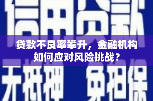 云林贷款不良率攀升，金融机构如何应对风险挑战？