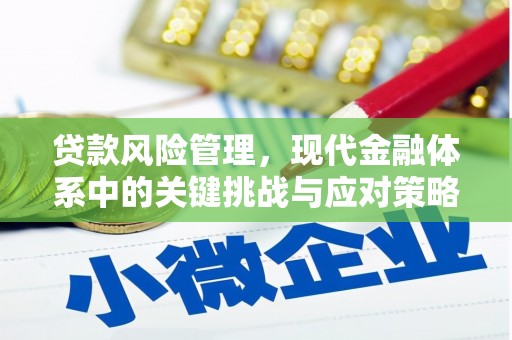 云林贷款风险管理，现代金融体系中的关键挑战与应对策略