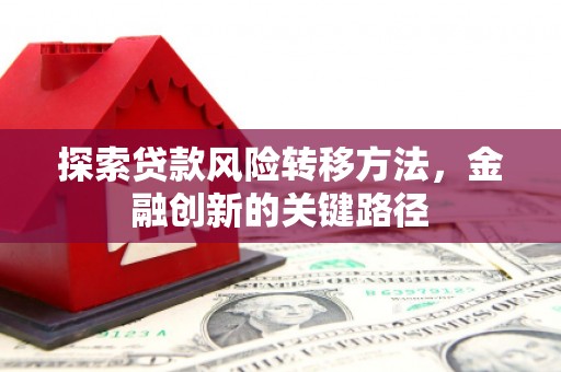 云林探索贷款风险转移方法，金融创新的关键路径
