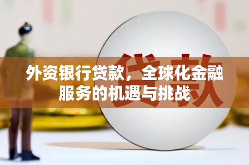 云林外资银行贷款，全球化金融服务的机遇与挑战