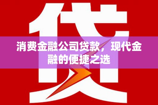 云林消费金融公司贷款，现代金融的便捷之选