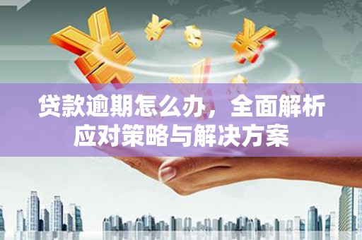 云林贷款逾期怎么办，全面解析应对策略与解决方案