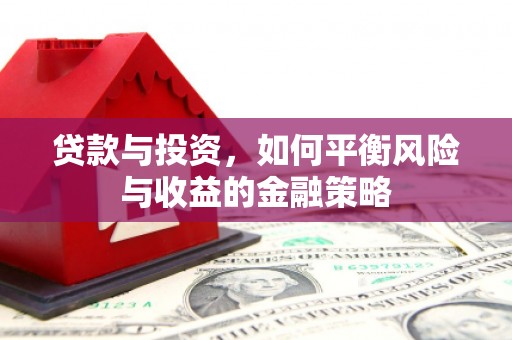 云林贷款与投资，如何平衡风险与收益的金融策略