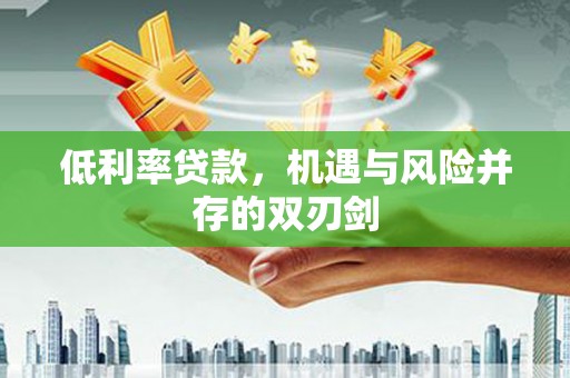 云林低利率贷款，机遇与风险并存的双刃剑