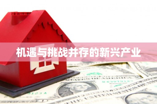 云林机遇与挑战并存的新兴产业