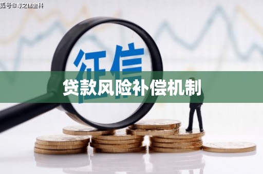 云林贷款风险补偿机制