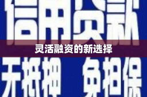 云林灵活融资的新选择