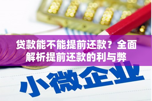 云林贷款能不能提前还款？全面解析提前还款的利与弊