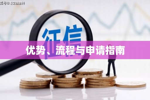 云林优势、流程与申请指南