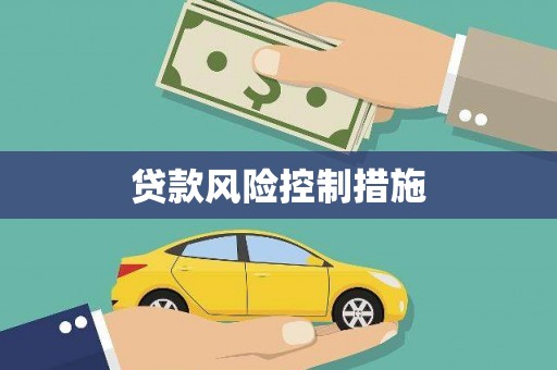 云林贷款风险控制措施