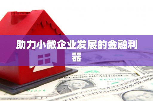 云林助力小微企业发展的金融利器