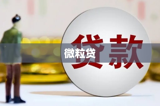 云林微粒贷