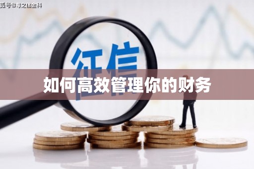 云林如何高效管理你的财务