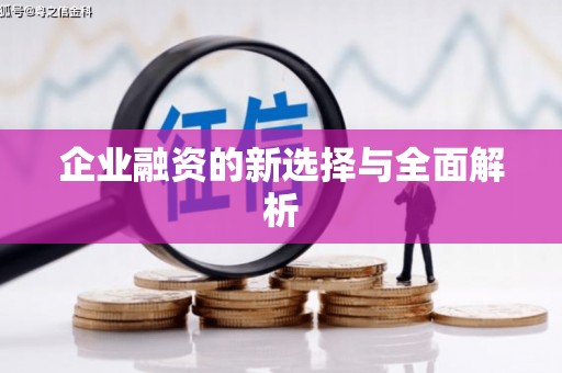 云林企业融资的新选择与全面解析