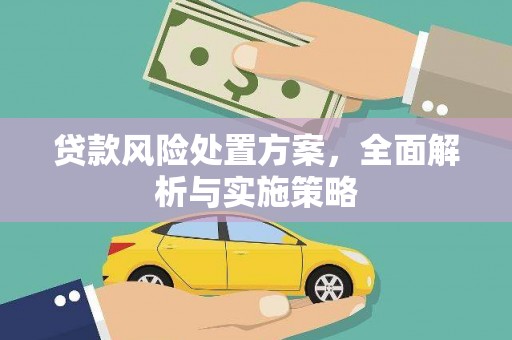 云林贷款风险处置方案，全面解析与实施策略
