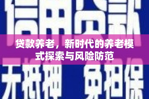 云林贷款养老，新时代的养老模式探索与风险防范