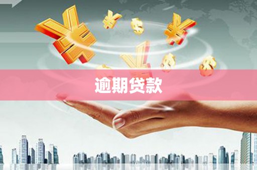 云林逾期贷款